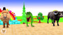 make long slide game animals video and 3d funny animals game