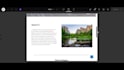 design full wordpress website