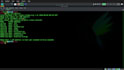 perform website security assessment