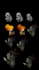 create spine 2d animations for game characters