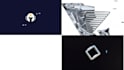 create a professional logo animation for your brand