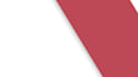 provide professional data entry and transcription services