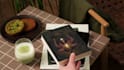 create any fantasy, cozy or another concept for you