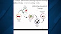 write a business case study research report and presentation