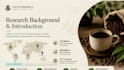 design a premium pitch deck or presentation