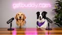 create a funny ai talking animal podcast video with lip sync