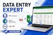 do data entry, copy paste and excel work