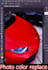 do photo color correction, grading change and replaces