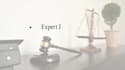 professionally draft a business or IP contract