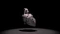 create a realistic 3d model