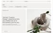 convert your figma design into a custom shopify section