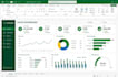 design a professional and interactive excel dashboard
