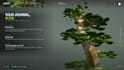 create an immersive 3d scroll website