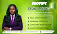 create a premium, high converting shopify dropshipping store