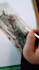 create stunning realistic wildlife illustrations