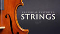 make the recording of the violin part, improvisation, strings arrangement,