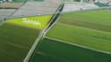 do real estate drone video editing with motion graphics