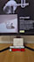 make shopify stores from scratch