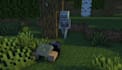 make minecraft animations for you