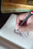 draw free hand illustrations for children book