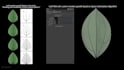 cinematic vfx, cgi, and visual effects 3d vfx