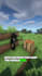 create tiktok shorts for your minecraft server