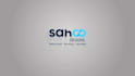 create minimalist clean 2d logo animation within 24 hours