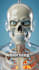 create cinematic ai skeleton storytelling shorts that hook viewers instantly