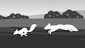 teach you 2d animation in krita and adobe animate