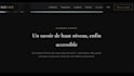 make you a professional website