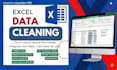 do data entry,clean,organise and validate data for any project