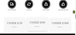 create a professional shopify store