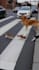 create ai generated videos