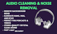professionally remove background noise and clean your audio