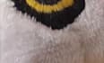 create a custom pattern and 3d model of your plushie concept