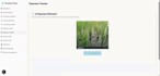 be your claude code developer for ai agents and saas  mvps