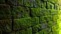 shopify onpage seo and advanced shopify onpage optimization