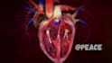 create 3d medical animation and anatomy explainer videos