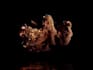 do 4k 3d abstract animation 3d loop houdini motion graphics gif animation