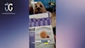 lucas will highlight your pet product and happily demonstrate how to use it