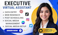 gohighlevel executive virtual assistant social media manager personal assistant
