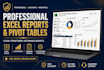 clean messy data and create professional excel analysis and dashboards