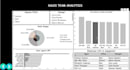 turn your data into a professional presentation and dashboard
