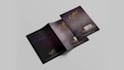design professional bifold or trifold brochure