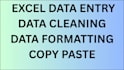 do microsoft excel data entry, data formatting and cleanup