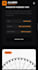 design and develop a professional,business website