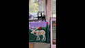 design trade show booth,backdrop,roll up banner,event display