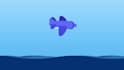 create lottie animation and website animation