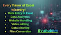 do data entry excel and also handle websites data conversion
