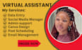 executive virtual assistant insta reels editor personal assistant data entry